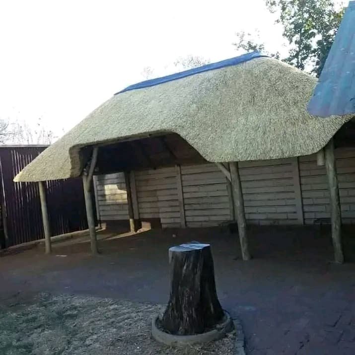 whatsapp-image-2026-02-18-at-180959