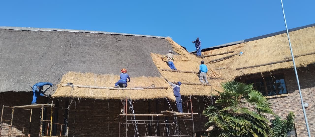 whatsapp-image-2026-02-18-at-181008-1