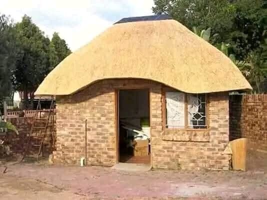 whatsapp-image-2026-02-18-at-181027-1